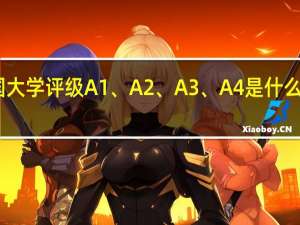 中国大学评级A1、A2、A3、A4是什么水平意思