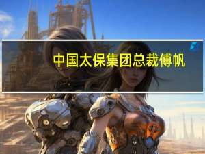 中国太保集团总裁傅帆：合理进行投资决策和组合管理 争取投资获得更优的夏普比率