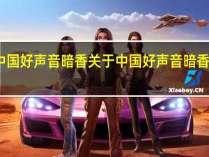 中国好声音暗香 关于中国好声音暗香的介绍