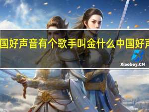 中国好声音有个歌手叫金什么 中国好声音金池