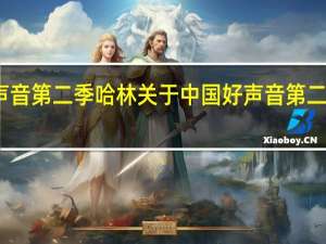 中国好声音第二季哈林 关于中国好声音第二季哈林的介绍
