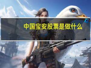 中国宝安股票是做什么