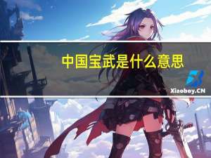 中国宝武是什么意思