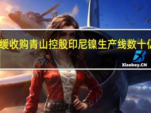 中国宝武暂缓收购青山控股印尼镍生产线 数十亿美元交易引悬念