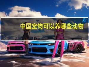 中国宠物可以养哪些动物