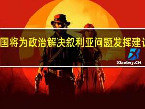 中国将为政治解决叙利亚问题发挥建设性作用