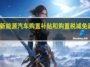 中国将新能源汽车购置补贴和购置税减免政策延长两年