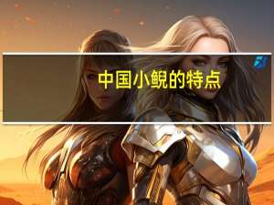 中国小鲵的特点