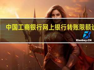 中国工商银行网上银行转账限额设置（中国工商银行网上银）