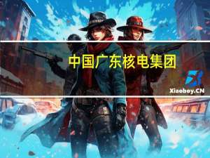 中国广东核电集团（关于中国广东核电集团的介绍）