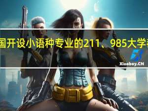 中国开设小语种专业的211、985大学都有哪些