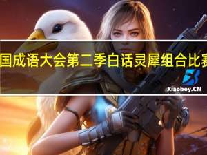 中国成语大会第二季白话灵犀组合比赛完整版（中国成语大会第二季）