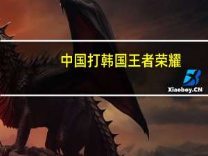 中国打韩国王者荣耀（中国打韩国）