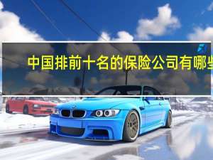 中国排前十名的保险公司有哪些（中国前十名的保险公司有哪十家）