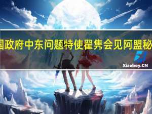 中国政府中东问题特使翟隽会见阿盟秘书长盖特