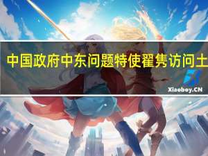 中国政府中东问题特使翟隽访问土耳其