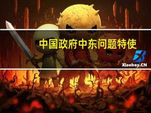 中国政府中东问题特使：巴勒斯坦问题的出路在于落实两国方案