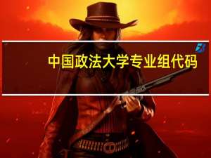 中国政法大学专业组代码