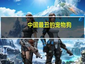 中国最丑的宠物狗