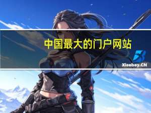 中国最大的门户网站（中国最大的门户网站）