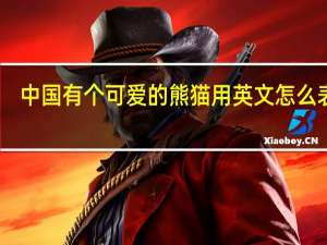 中国有个可爱的熊猫用英文怎么表达？