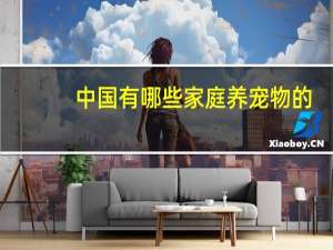 中国有哪些家庭养宠物的