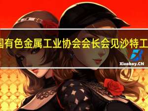 中国有色金属工业协会会长会见沙特工矿部部长