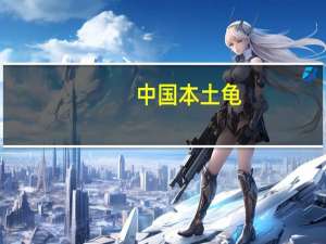 中国本土龟（中国龟）