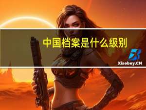 中国档案是什么级别