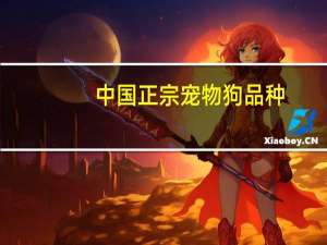 中国正宗宠物狗品种