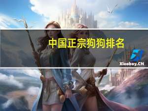 中国正宗狗狗排名