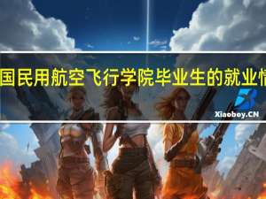 中国民用航空飞行学院毕业生的就业情况如何