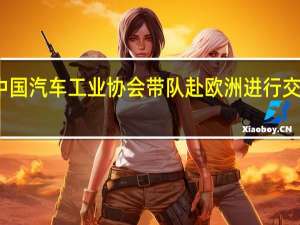 中国汽车工业协会带队赴欧洲进行交流访问