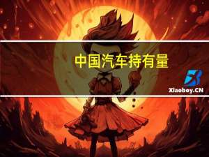 中国汽车持有量