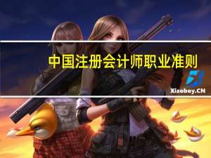 中国注册会计师职业准则