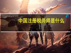 中国注册税务师是什么
