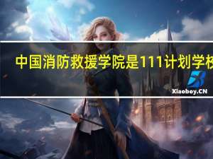 中国消防救援学院是111计划学校吗