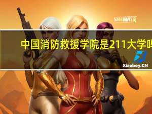 中国消防救援学院是211大学吗