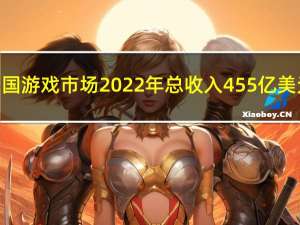 中国游戏市场2022年总收入455亿美元