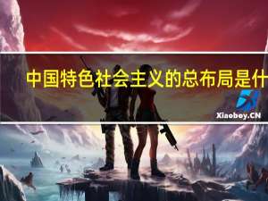 中国特色社会主义的总布局是什么