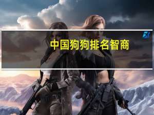 中国狗狗排名智商