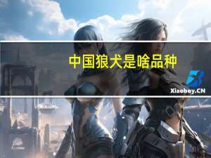 中国狼犬是啥品种