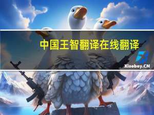 中国王智翻译在线翻译