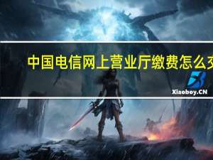 中国电信网上营业厅缴费怎么交（中国电信网上营业厅缴费）