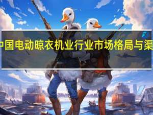中国电动晾衣机业行业市场格局与渠道分布