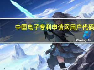 中国电子专利申请网用户代码（中国电子专利申请网）
