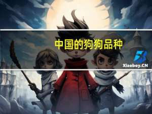 中国的狗狗品种