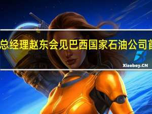 中国石化集团公司总经理赵东会见巴西国家石油公司首席执行官普拉特斯一行
