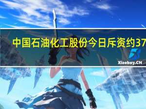 中国石油化工股份今日斥资约3733.5万港元回购919.4万股