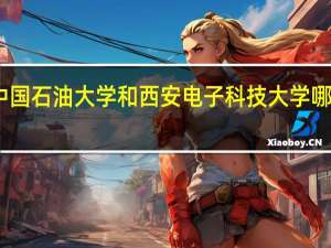 中国石油大学和西安电子科技大学哪个厉害